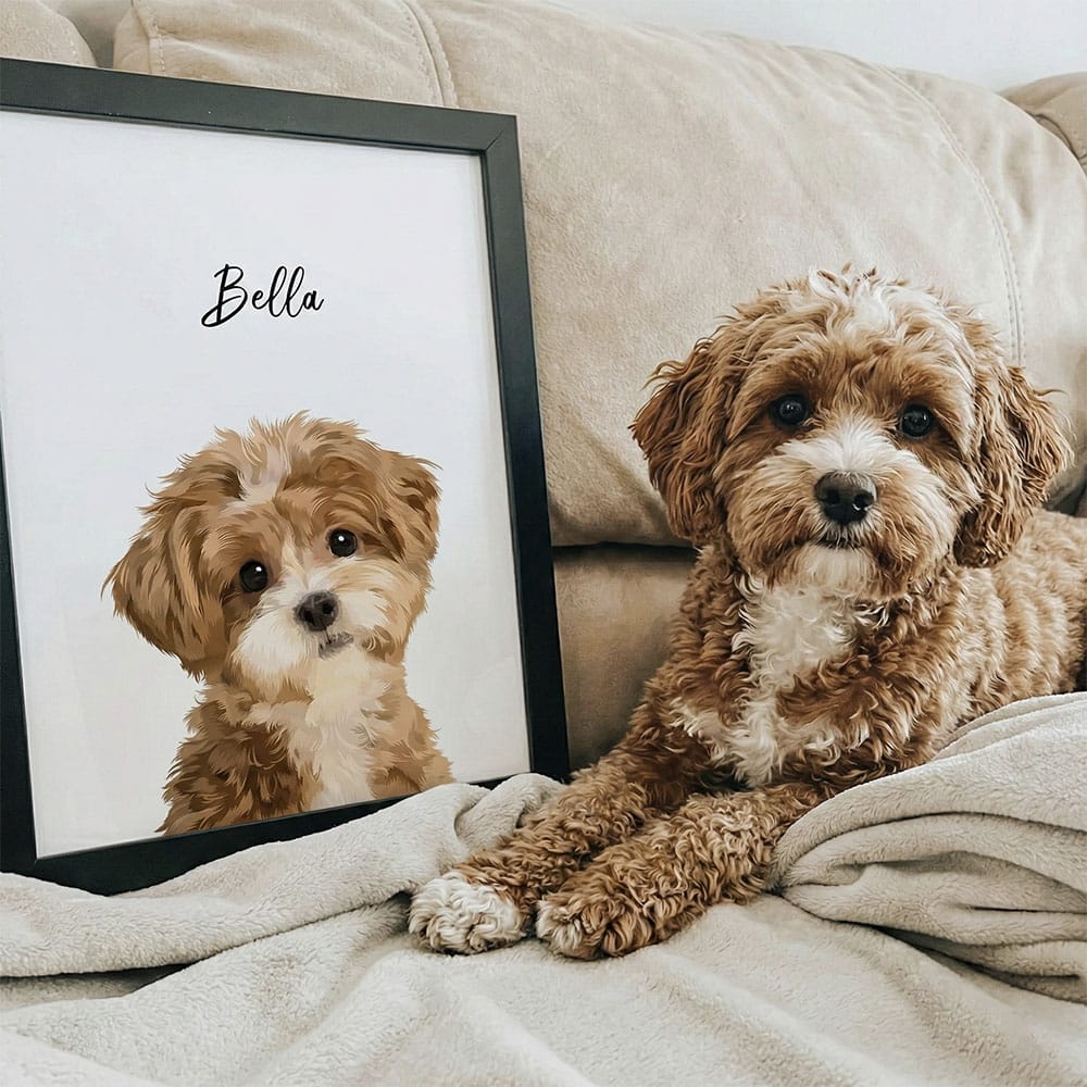 Modern style custom pet portrait black framed print displayed next to a Cavapoo, featuring a personalized vector illustration of the dog on a white background.
