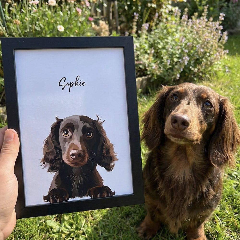 Modern style custom pet portrait black framed print held next to a chocolate long-haired Dachshund, featuring a personalized vector illustration of the dog on a white background.