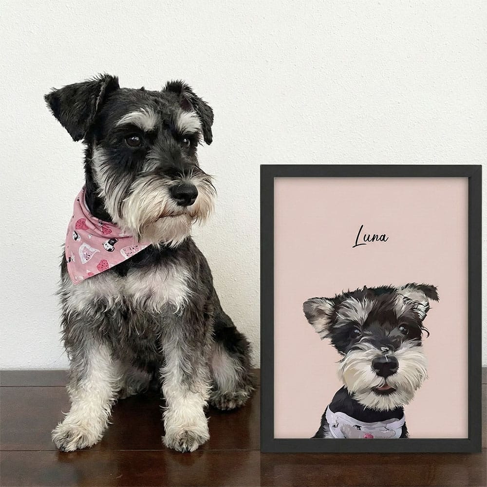 Modern style custom pet portrait framed print displayed next to a Miniature Schnauzer, featuring a personalized vector illustration of the dog on a pink background.